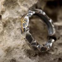 ���ɽ�ָ����С����ưٴ������߼����п���ʿ����